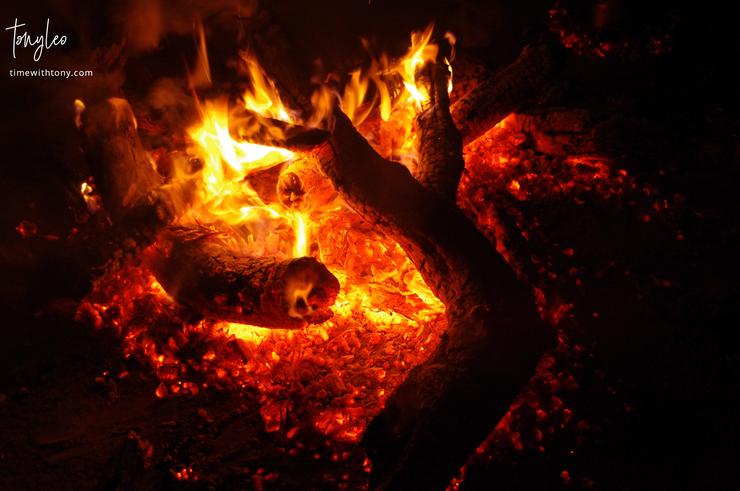 The log fire burning